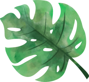 Watercolor Leaf Object 